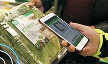 博奥智能无线路由在食品溯源场景的无线监测解决方案